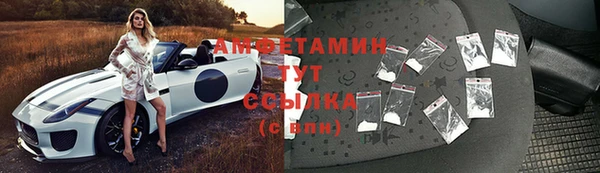 прущие грибы Арсеньев