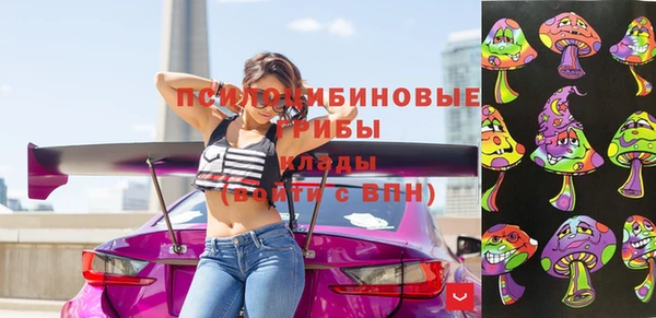 прущие грибы Арсеньев