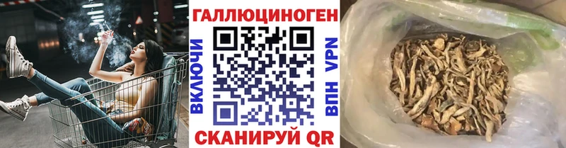 Псилоцибиновые грибы мицелий  omg ссылки  Кудымкар  купить  цена 
