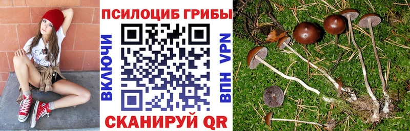 Галлюциногенные грибы мухоморы Кудымкар